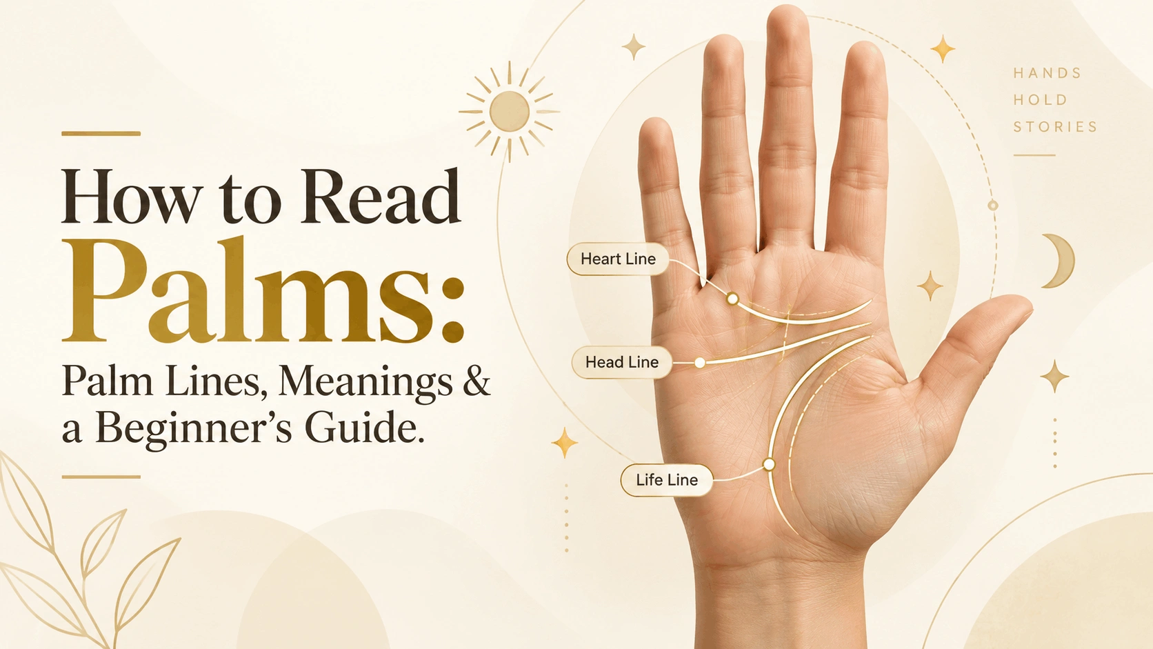How to Read Palms: Palm Lines, Meanings & a Beginner’s Guide